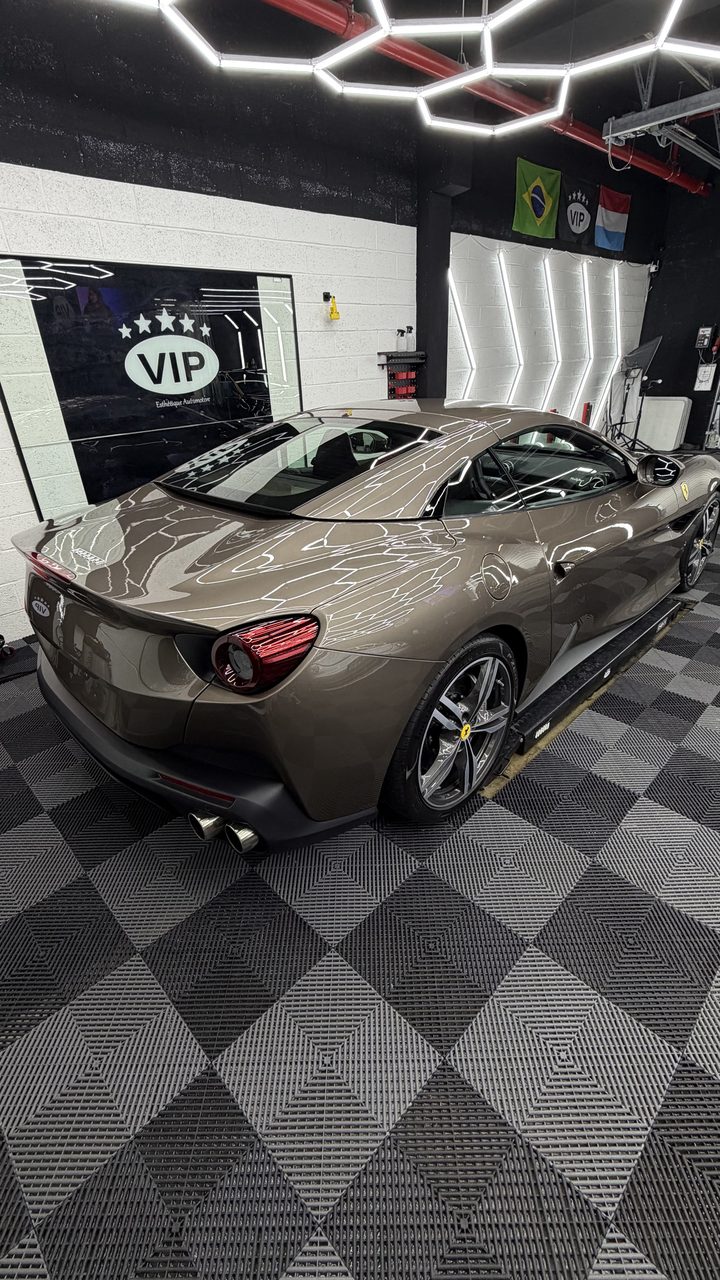 PPF VIP Esthétique